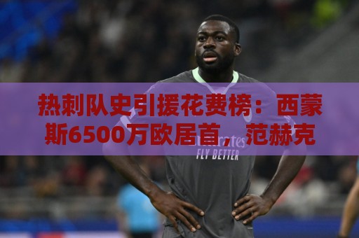 热刺队史引援花费榜:西蒙斯6500万欧居首,范赫克6000万欧第5 热刺队史引援花费榜:西蒙斯6500万欧居首,范赫克6000万欧第5