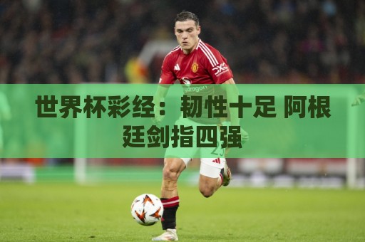 世界杯彩经:韧性十足 阿根廷剑指四强 世界杯彩经:韧性十足 阿根廷剑指四强