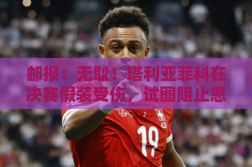 邮报：无耻！塔利亚菲科在决赛假装受伤，试图阻止恩佐被罚下