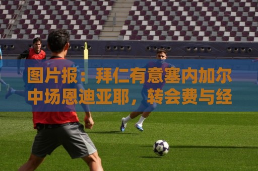 图片报:拜仁有意塞内加尔中场恩迪亚耶,转会费与经纪归属成阻碍 图片报:拜仁有意塞内加尔中场恩迪亚耶,转会费与经纪归属成阻碍