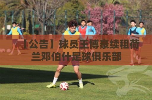 【公告】球员王博豪续租荷兰邓伯什足球俱乐部
