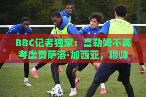 BBC记者独家:富勒姆不再考虑贡萨洛·加西亚,穆帅希望其留队 BBC记者独家:富勒姆不再考虑贡萨洛·加西亚,穆帅希望其留队