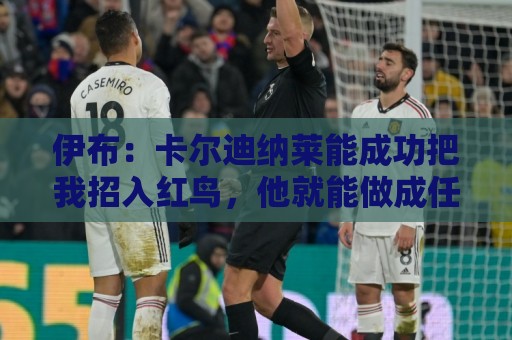伊布:卡尔迪纳莱能成功把我招入红鸟,他就能做成任何事 伊布:卡尔迪纳莱能成功把我招入红鸟,他就能做成任何事