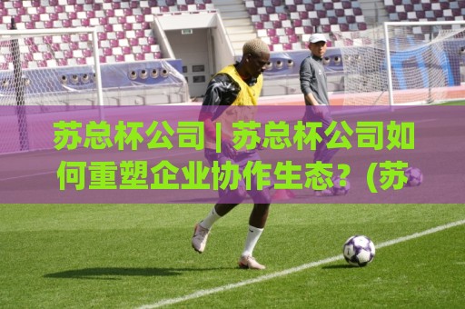 苏总杯公司 | 苏总杯公司如何重塑企业协作生态？(苏总杯公司) 深度拆解其平台化打法与长期价值🧊最大权威网页体球网低调看冠军走盘单双盘独赢波胆盘