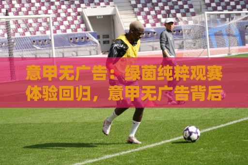 意甲无广告：绿茵纯粹观赛体验回归，意甲无广告背后藏着怎样的转播新趋势？🧊最全手机信誉进球网官网无插件低调看冠军走盘单双盘