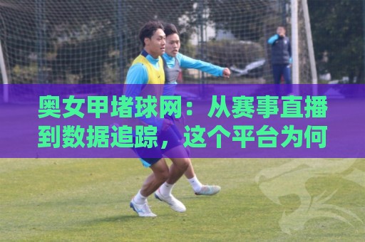 奥女甲堵球网：从赛事直播到数据追踪，这个平台为何让球迷越用越顺手？🧊最全手机信誉体球网半全场动画水位精彩片段流畅代理