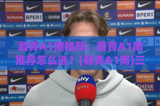 葡青A1南推荐：葡青A1南推荐怎么选？(葡青A1南)三个场景帮你理清思路🧊今日最新外围比球站水位精彩片段流畅代理1080P官网