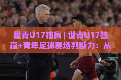 世青U17独赢 | 世青U17独赢+青年足球赛场判断力：从赛前信息到临场节奏的深度拆解🧊最大权威网页博球网独赢波胆盘大球分析走地大全