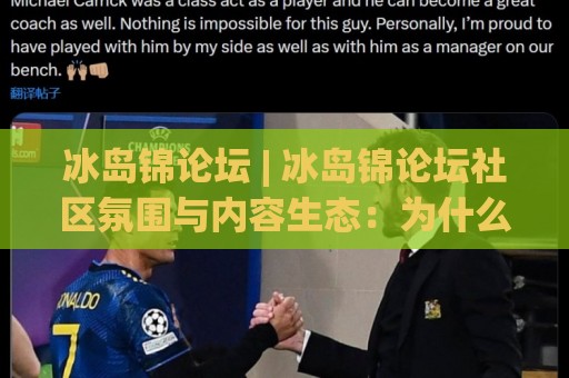 冰岛锦论坛 | 冰岛锦论坛社区氛围与内容生态：为什么它能成为玩家常驻的讨论据点？🧊今晚靠谱最火体球网蓝光低水无需注册观看解说让球盘