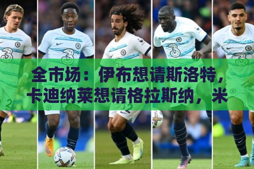 全市场:伊布想请斯洛特,卡迪纳莱想请格拉斯纳,米兰选帅陷僵局 全市场:伊布想请斯洛特,卡迪纳莱想请格拉斯纳,米兰选帅陷僵局