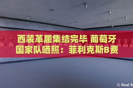 西装革履集结完毕 葡萄牙国家队晒照:菲利克斯B费居中 C罗居后排 西装革履集结完毕 葡萄牙国家队晒照:菲利克斯B费居中 C罗居后排